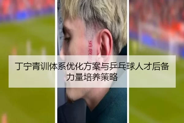 丁宁青训体系优化方案与乒乓球人才后备力量培养策略