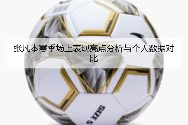 张凡本赛季场上表现亮点分析与个人数据对比